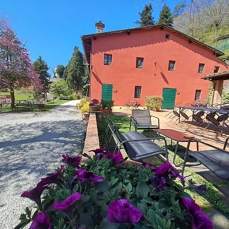 Agriturismo La Torre 巴尼－迪卢卡 外观 照片