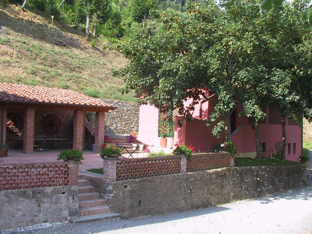 Agriturismo La Torre 巴尼－迪卢卡 外观 照片