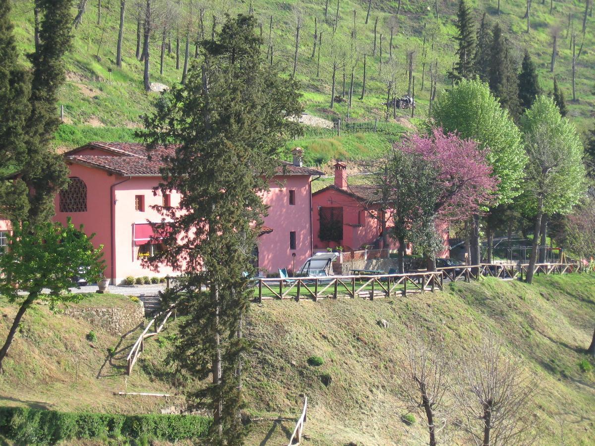 Agriturismo La Torre 巴尼－迪卢卡 外观 照片