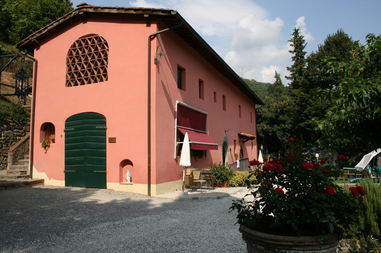 Agriturismo La Torre 巴尼－迪卢卡 外观 照片