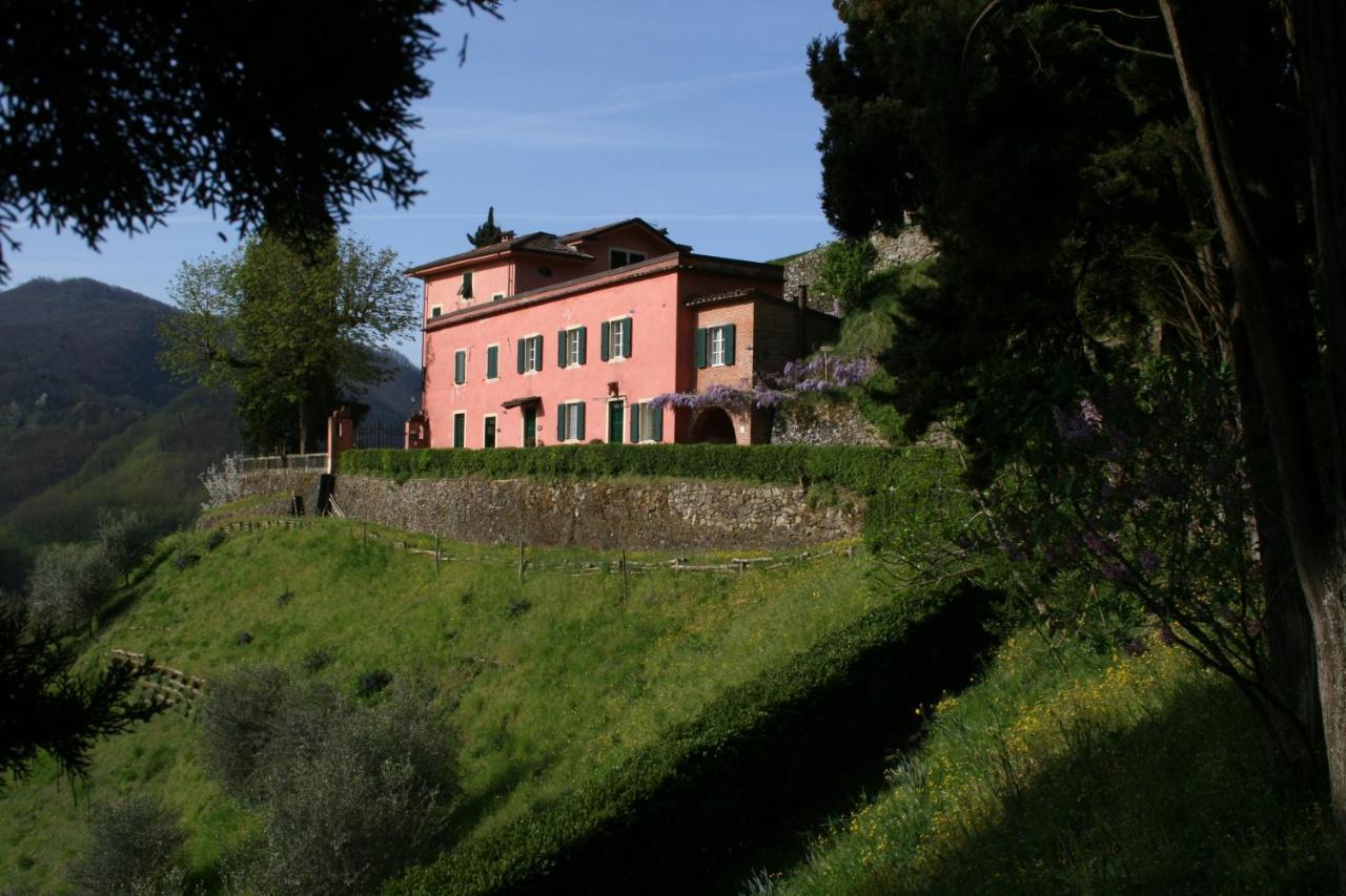 Agriturismo La Torre 巴尼－迪卢卡 外观 照片